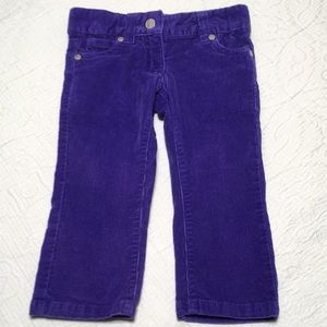 2T (5/$20) Stretch Corduroy Pants by Nevada